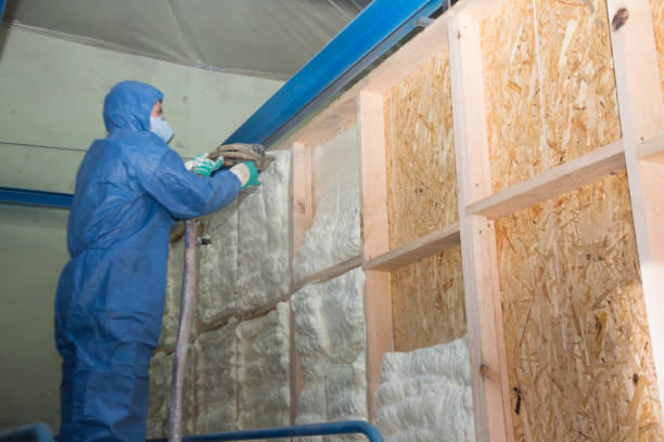 Insulation Inspection Services in Camp Point, IL
